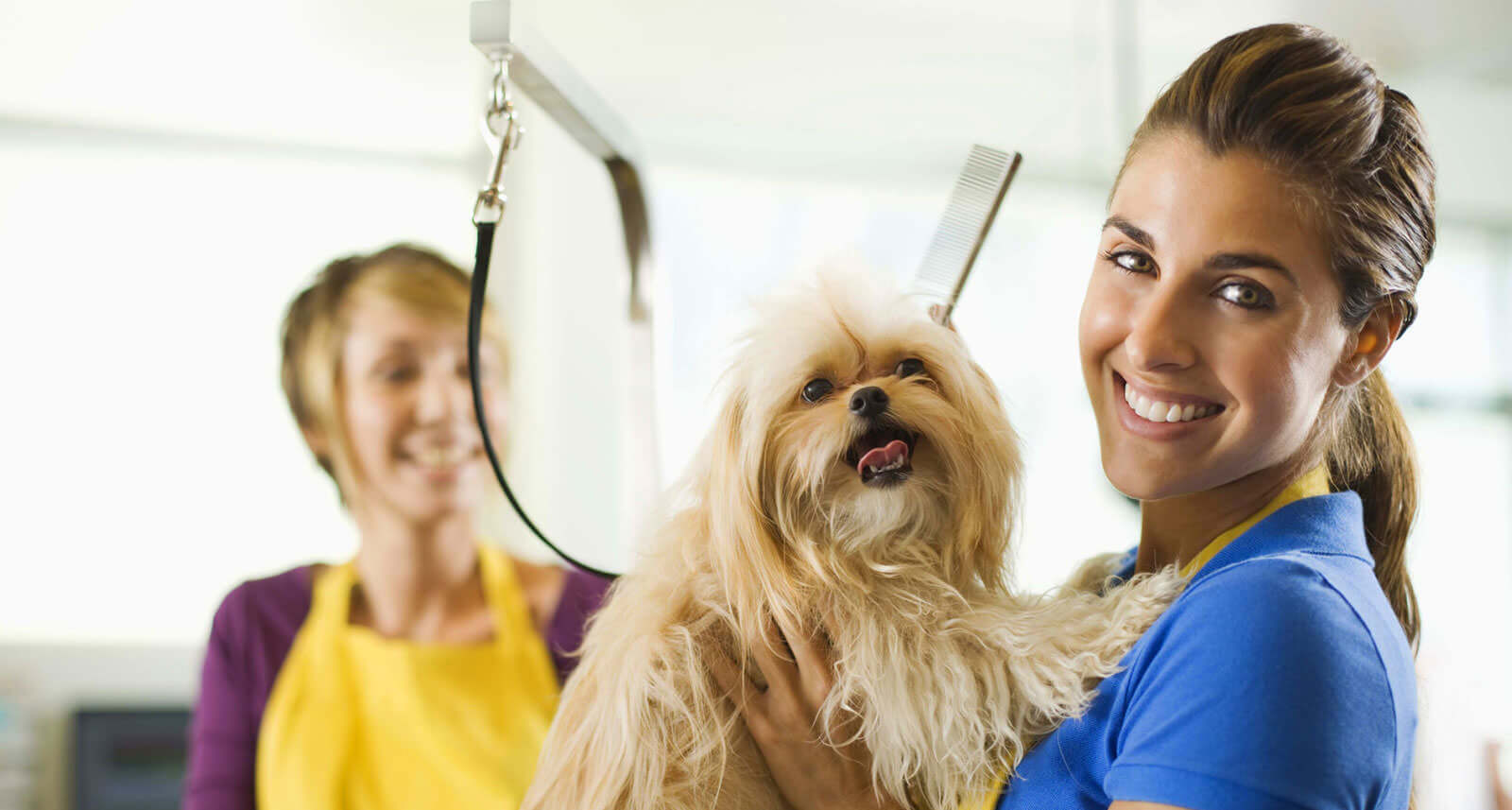 Pet grooming with distinction